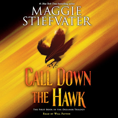 Call Down the Hawk by Maggie Stiefvater